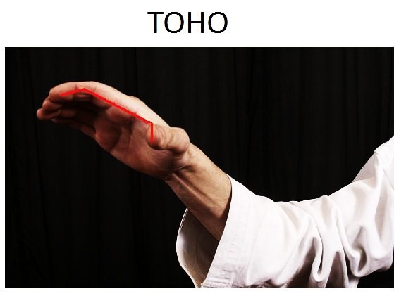 Toho Uchi