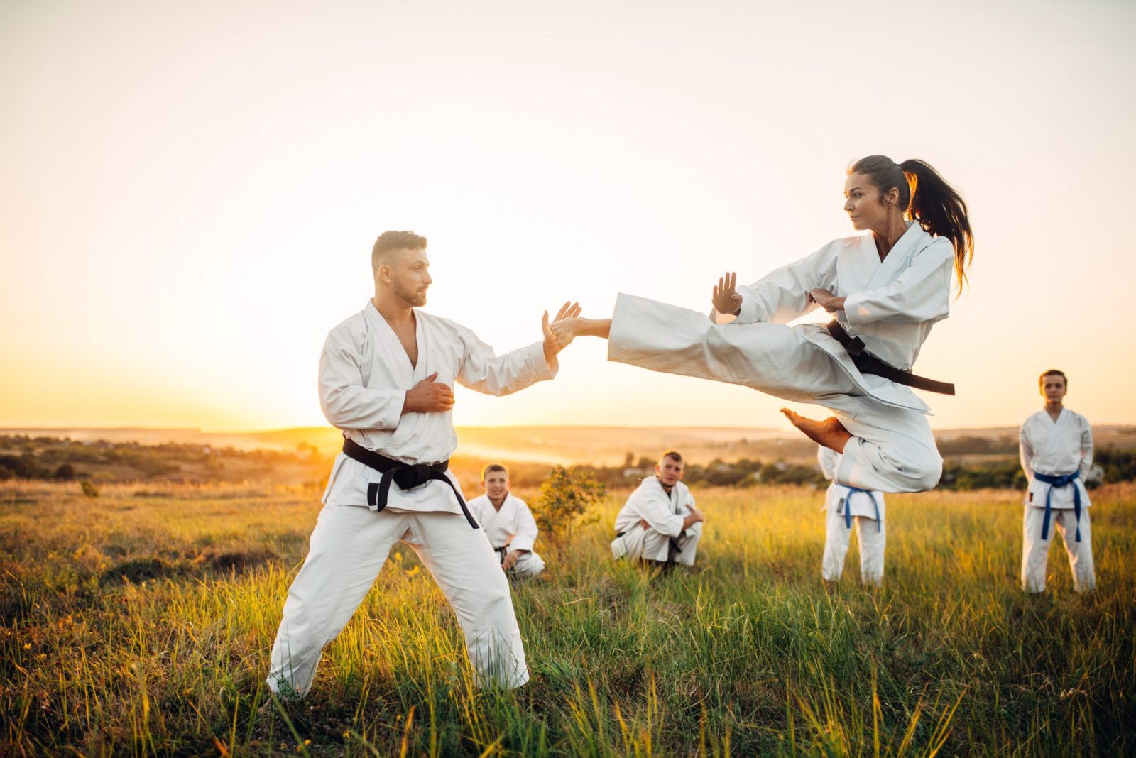 Choisir son style de Karate